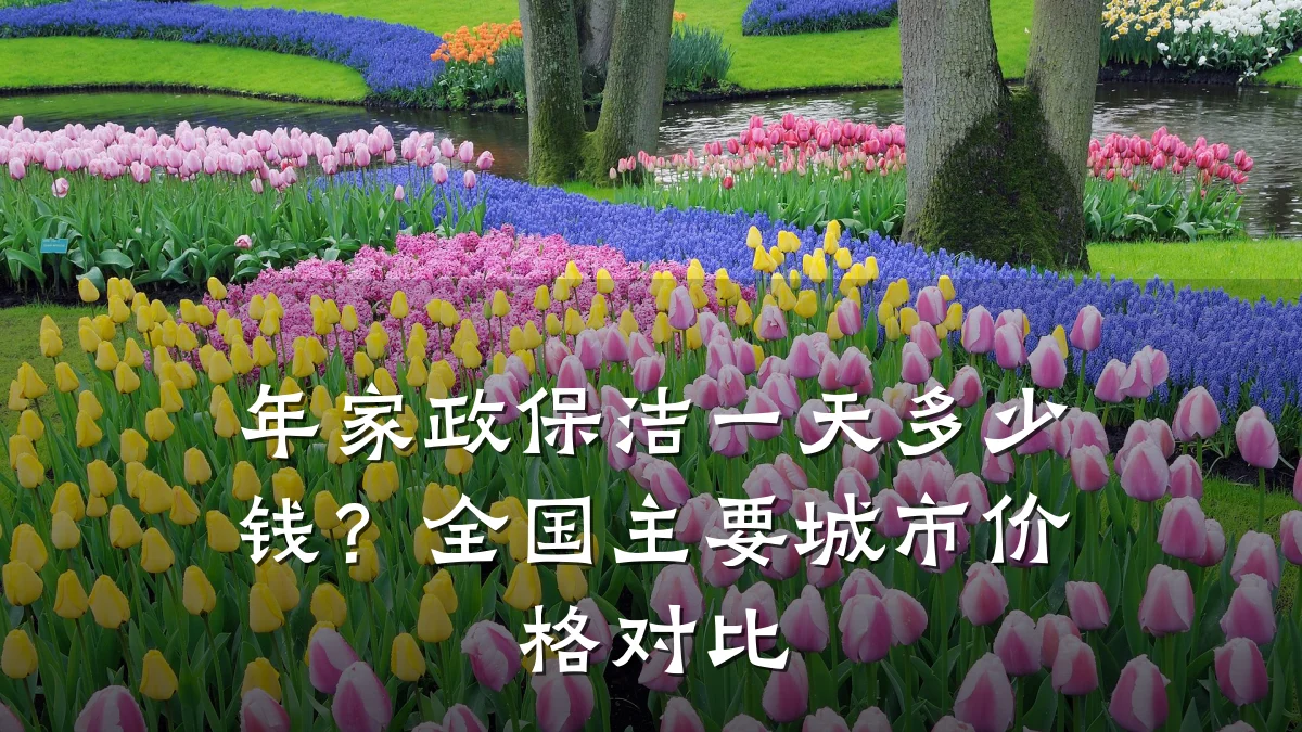 年家政保洁一天多少钱?全国主要城市价格对比