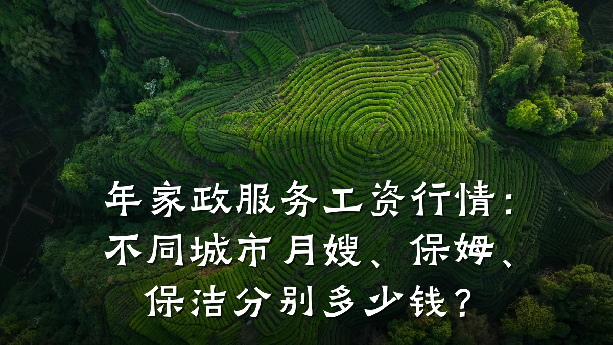 年家政服务工资行情:不同城市月嫂、保姆、保洁分别多少钱?