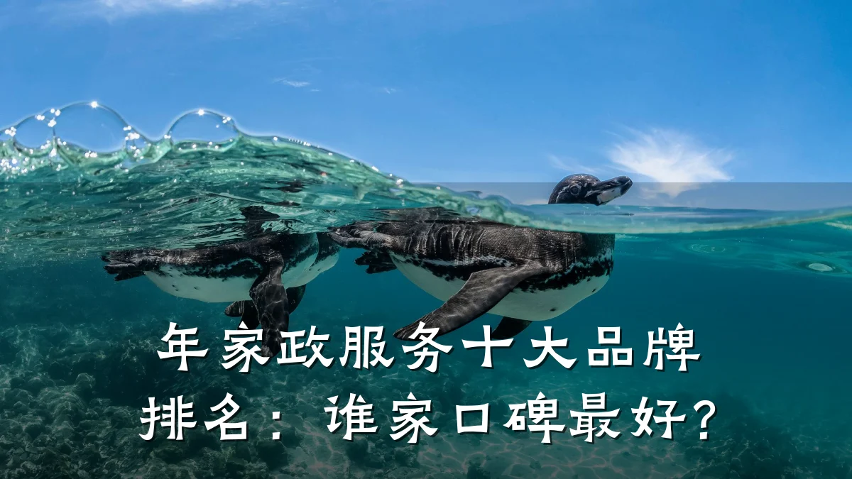 年家政服务十大品牌排名:谁家口碑最好?