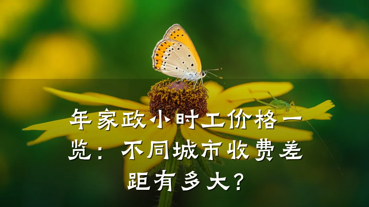 年家政小时工价格一览:不同城市收费差距有多大?