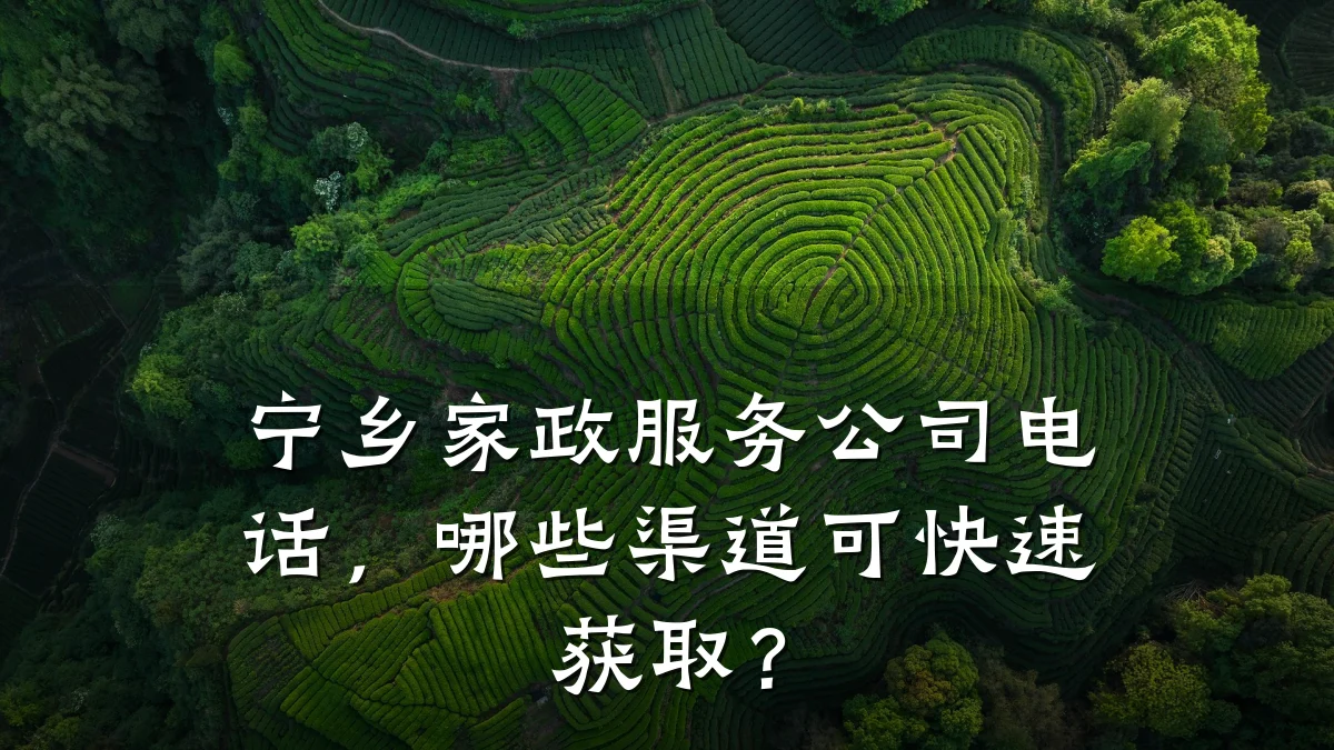 宁乡家政服务公司电话,哪些渠道可快速获取?