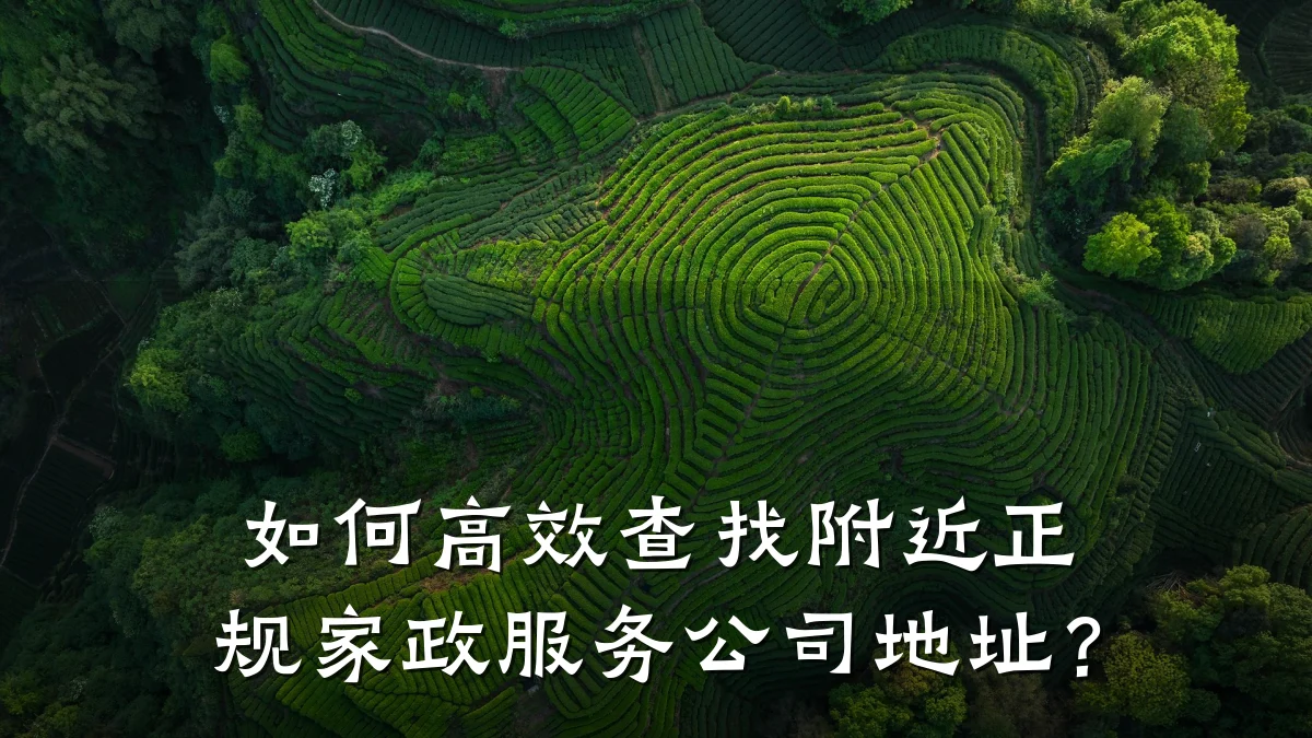 如何高效查找附近正规家政服务公司地址?