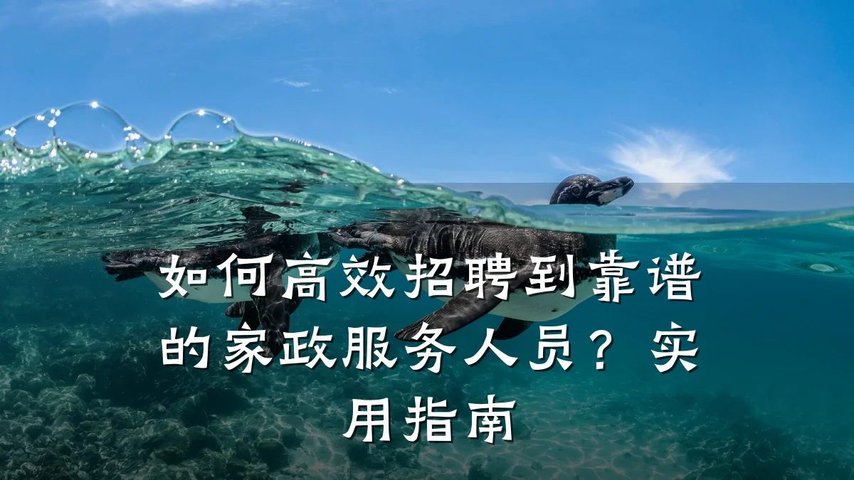 如何高效招聘到靠谱的家政服务人员?实用指南
