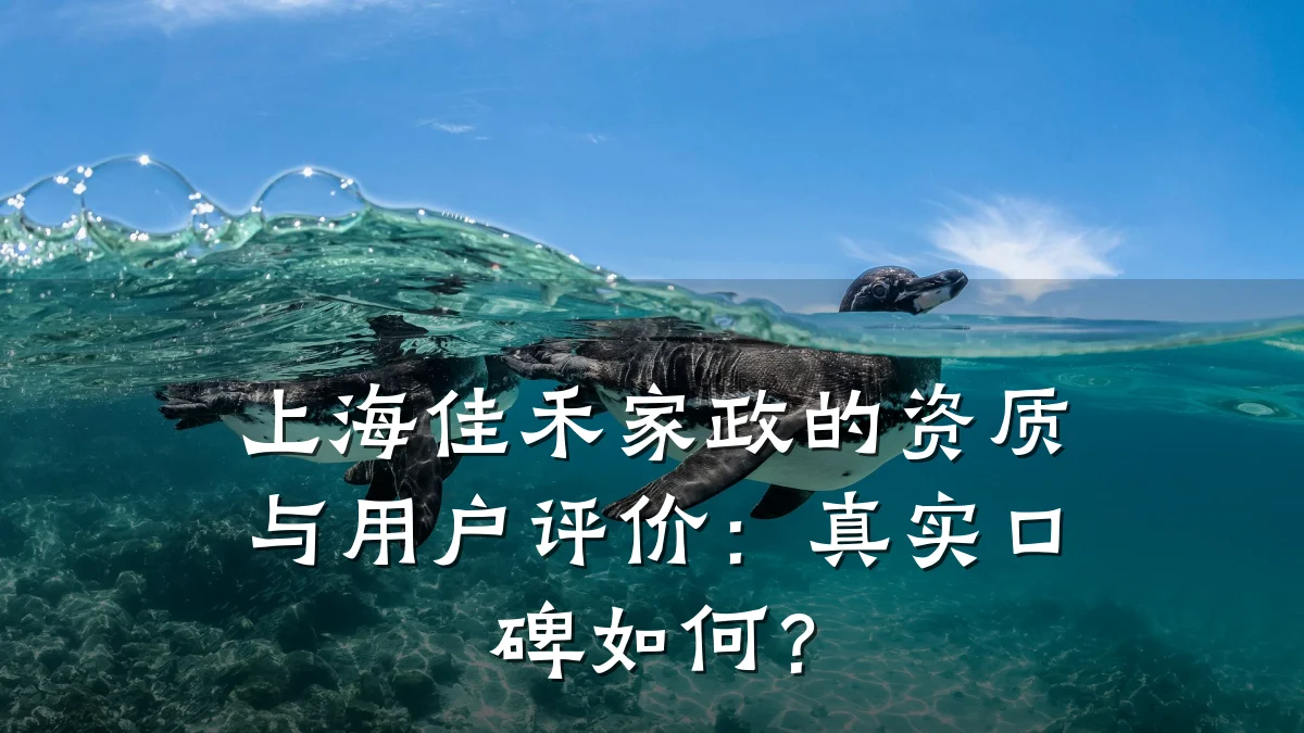 上海佳禾家政的资质与用户评价:真实口碑如何?