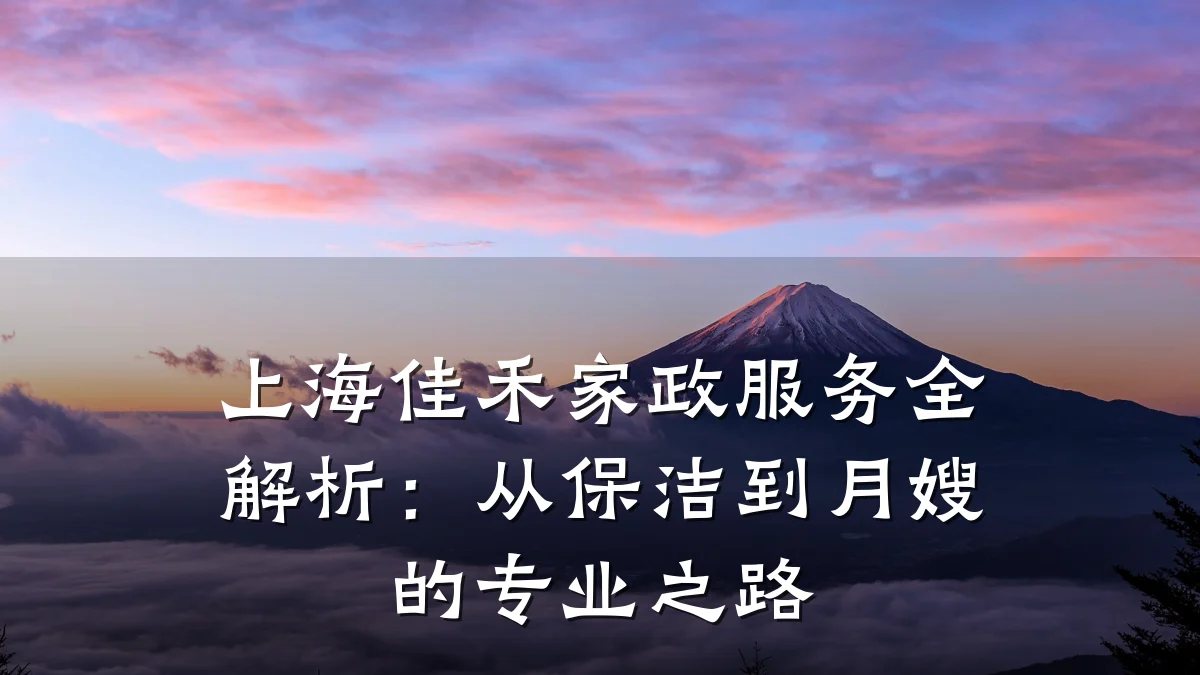 上海佳禾家政服务全解析:从保洁到月嫂的专业之路