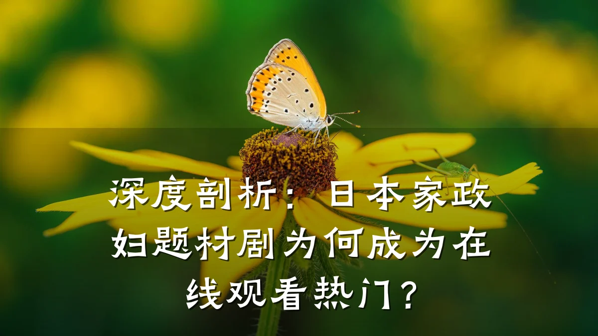 深度剖析：日本家政妇题材剧为何成为在线观看热门？