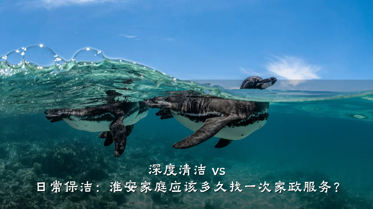 深度清洁 vs 日常保洁：淮安家庭应该多久找一次家政服务？
