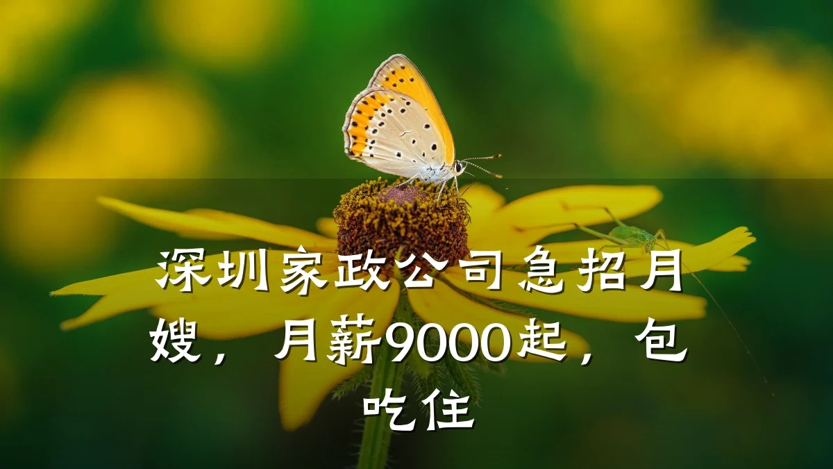 深圳家政公司急招月嫂,月薪9000起,包吃住