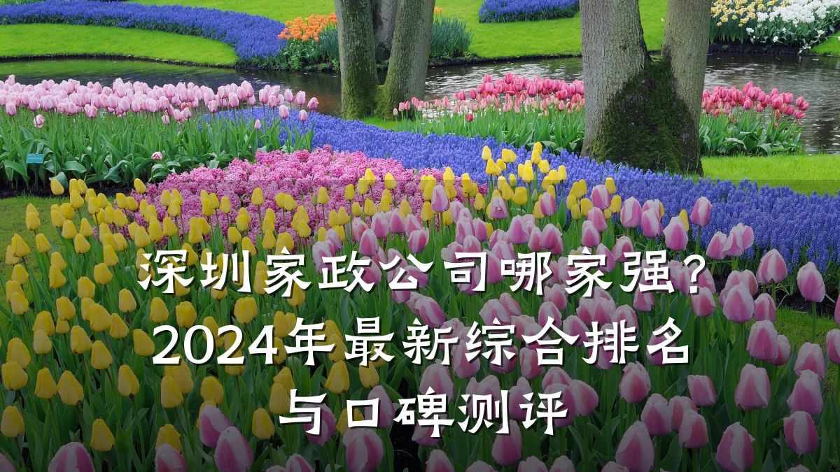 深圳家政公司哪家强?2024年最新综合排名与口碑测评