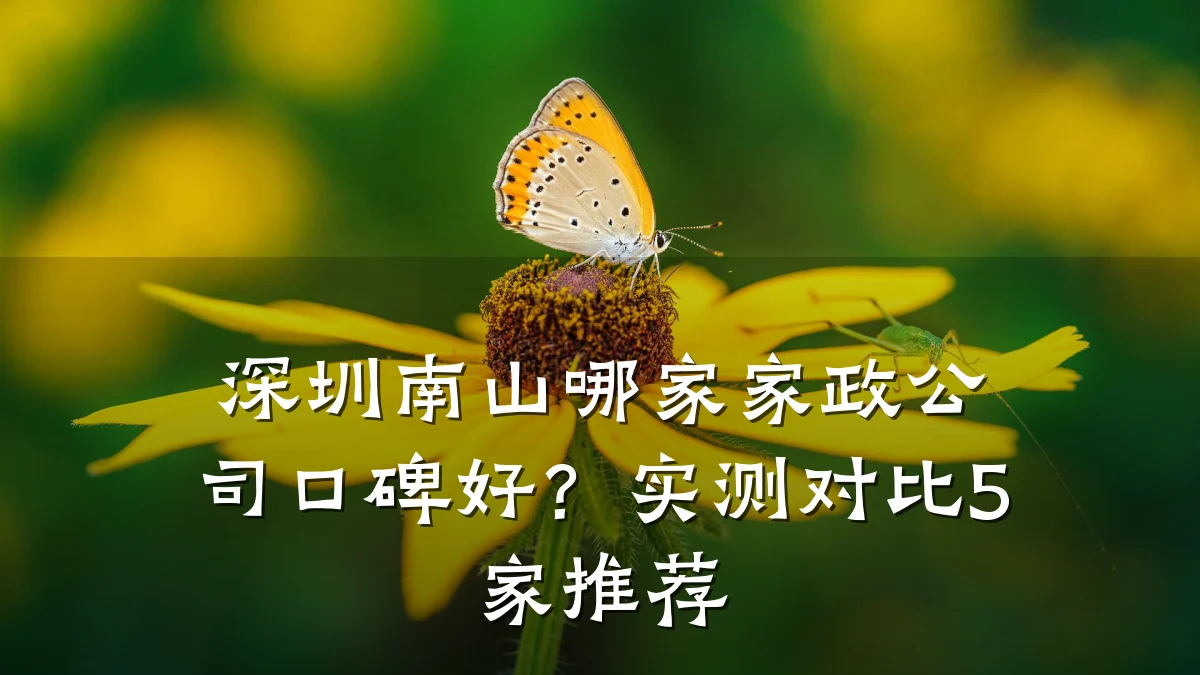 深圳南山哪家家政公司口碑好?实测对比5家推荐