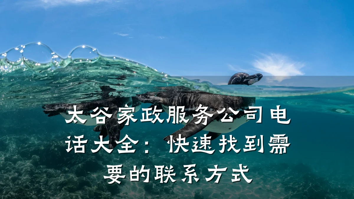 太谷家政服务公司电话大全:快速找到需要的联系方式