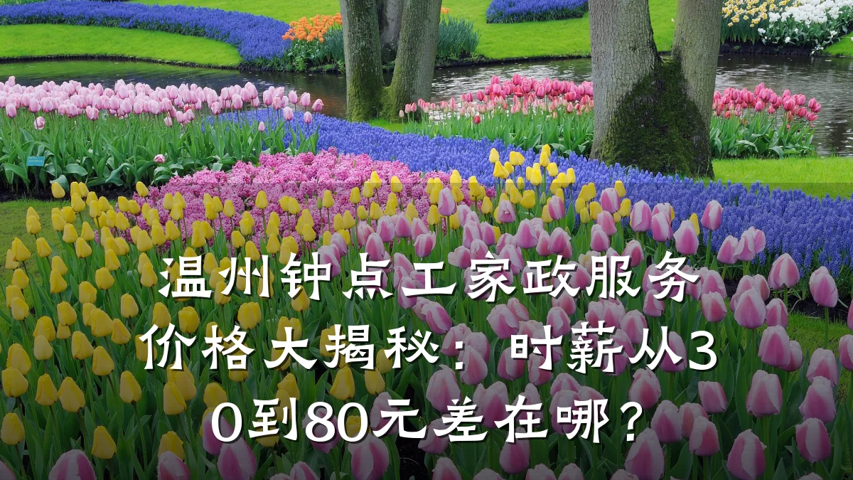 温州钟点工家政服务价格大揭秘:时薪从30到80元差在哪?