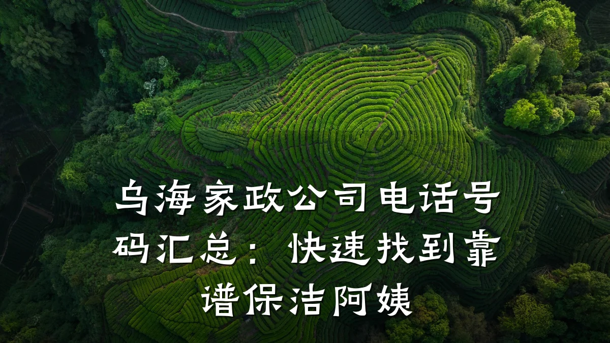 乌海家政公司电话号码汇总:快速找到靠谱保洁阿姨