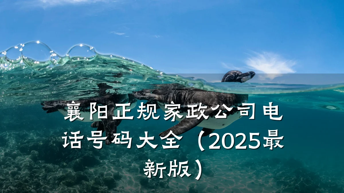 襄阳正规家政公司电话号码大全(2025最新版)