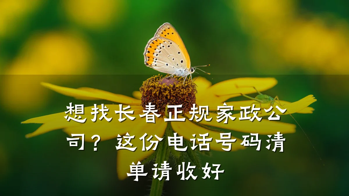 想找长春正规家政公司?这份电话号码清单请收好