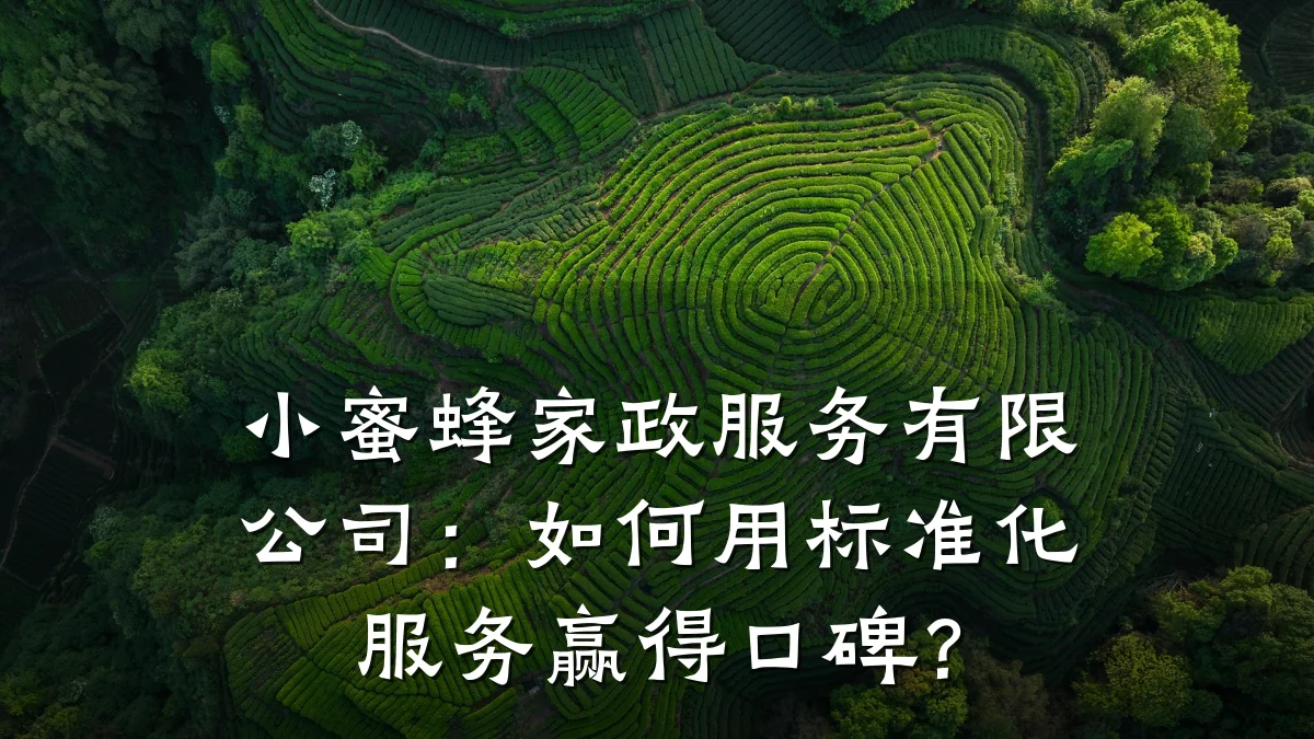 小蜜蜂家政服务有限公司：如何用标准化服务赢得口碑？