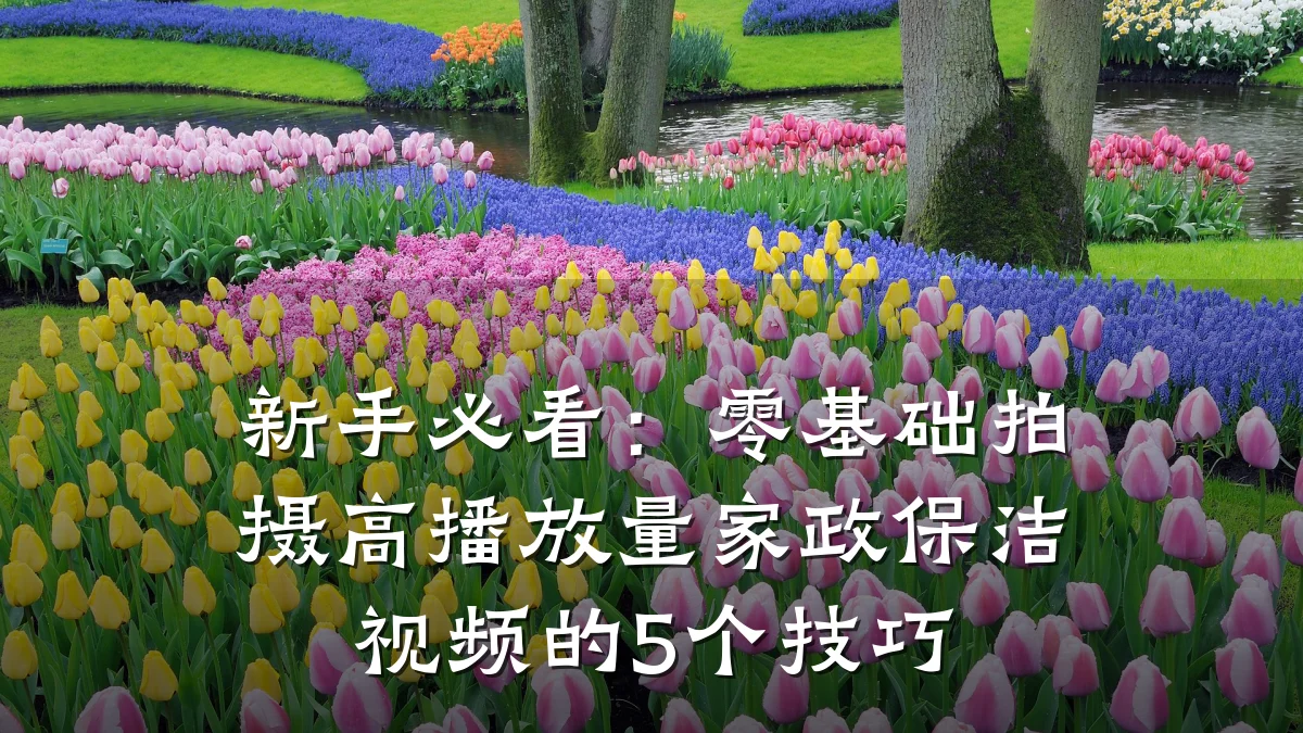 新手必看:零基础拍摄高播放量家政保洁视频的5个技巧