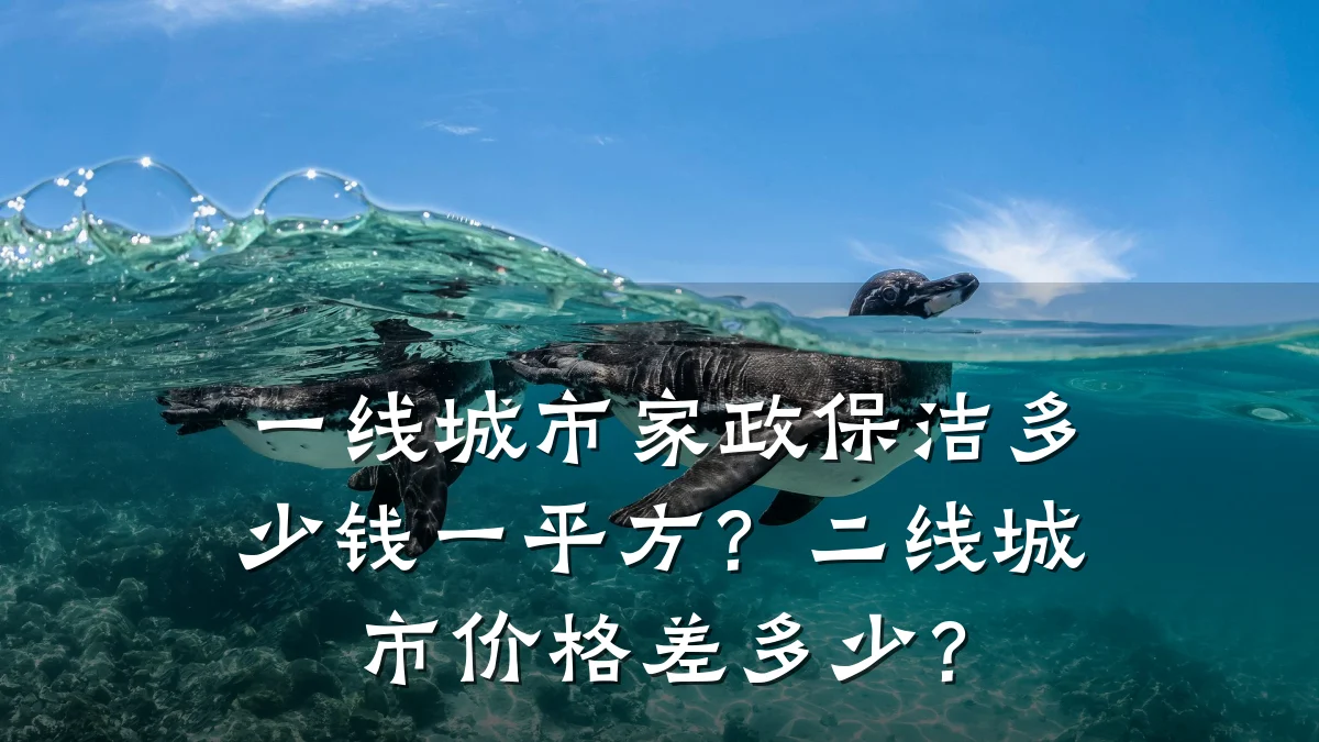一线城市家政保洁多少钱一平方?二线城市价格差多少?