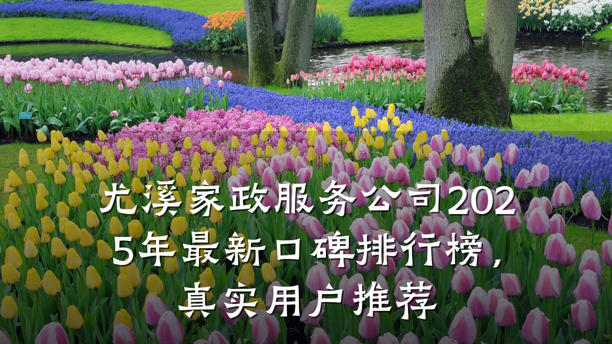 尤溪家政服务公司2025年最新口碑排行榜,真实用户推荐