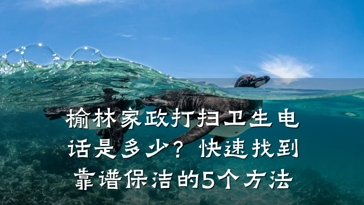 榆林家政打扫卫生电话是多少?快速找到靠谱保洁的5个方法