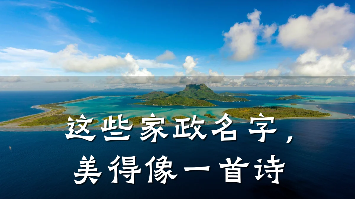 这些家政名字,美得像一首诗