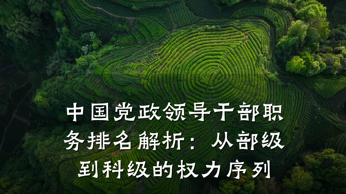 中国党政领导干部职务排名解析:从部级到科级的权力序列