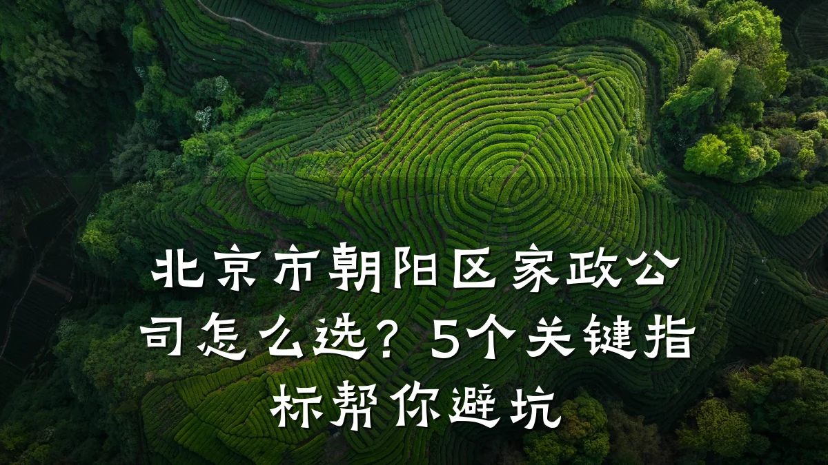 北京市朝阳区家政公司怎么选?5个关键指标帮你避坑