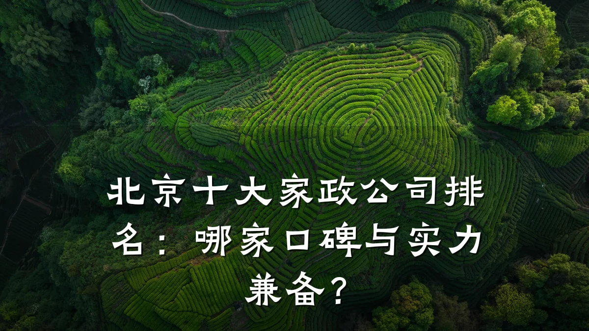 北京十大家政公司排名:哪家口碑与实力兼备?
