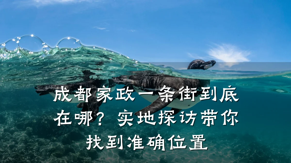 成都家政一条街到底在哪?实地探访带你找到准确位置