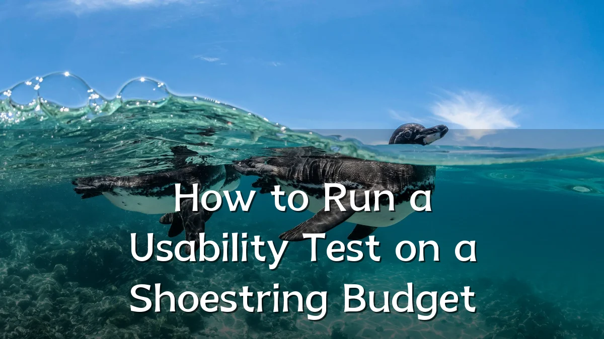 How to Run a Usability Test on a Shoestring Budget