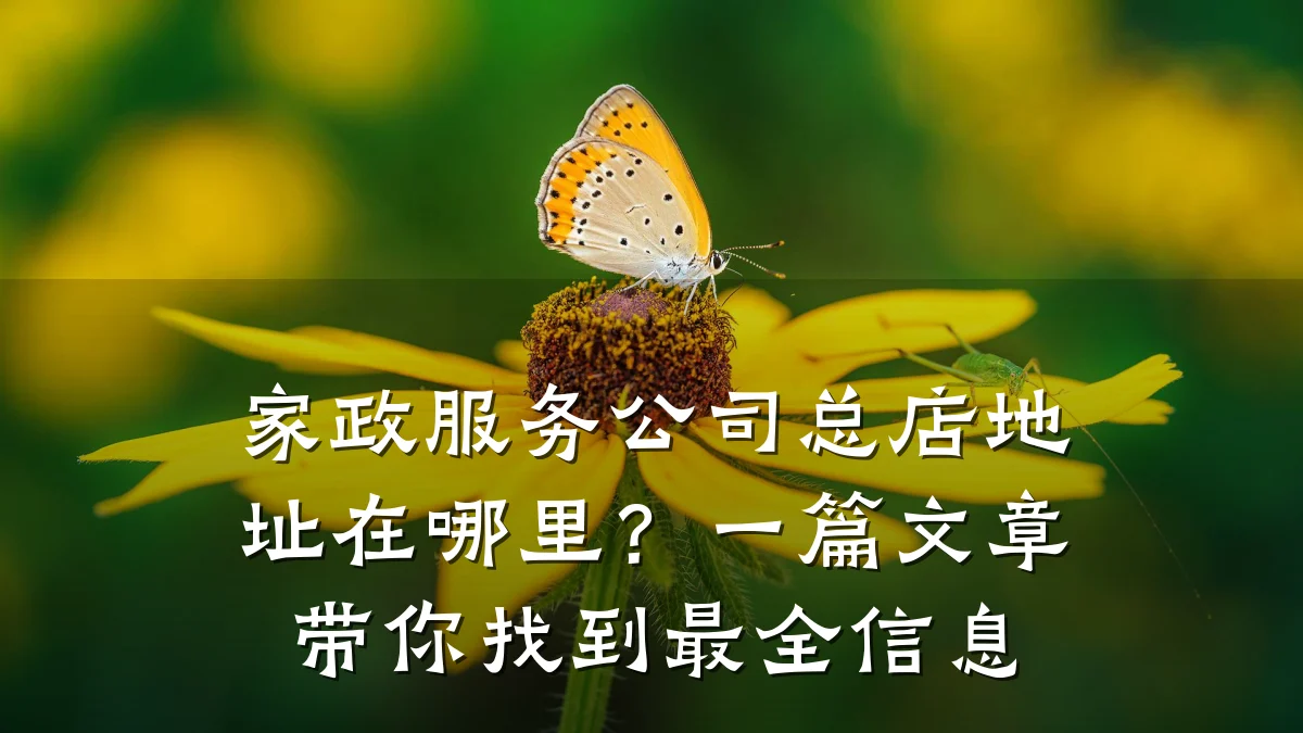 家政服务公司总店地址在哪里?一篇文章带你找到最全信息