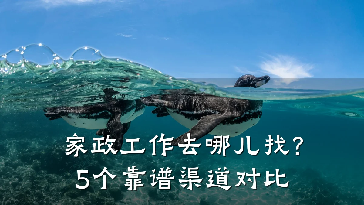 家政工作去哪儿找?5个靠谱渠道对比