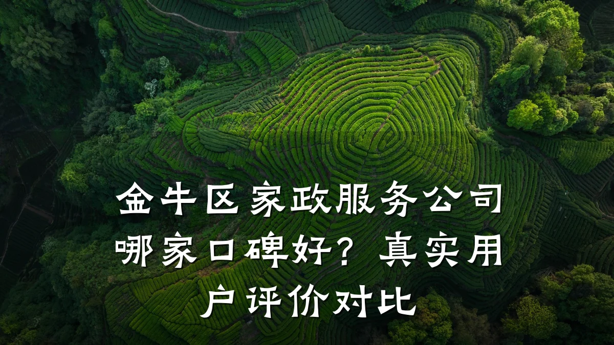 金牛区家政服务公司哪家口碑好？真实用户评价对比