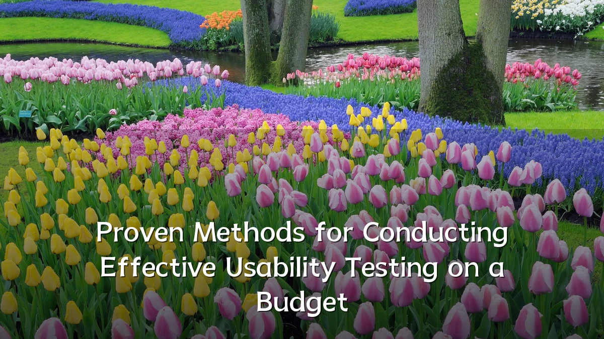 Proven Methods for Conducting Effective Usability Testing on a Budget
