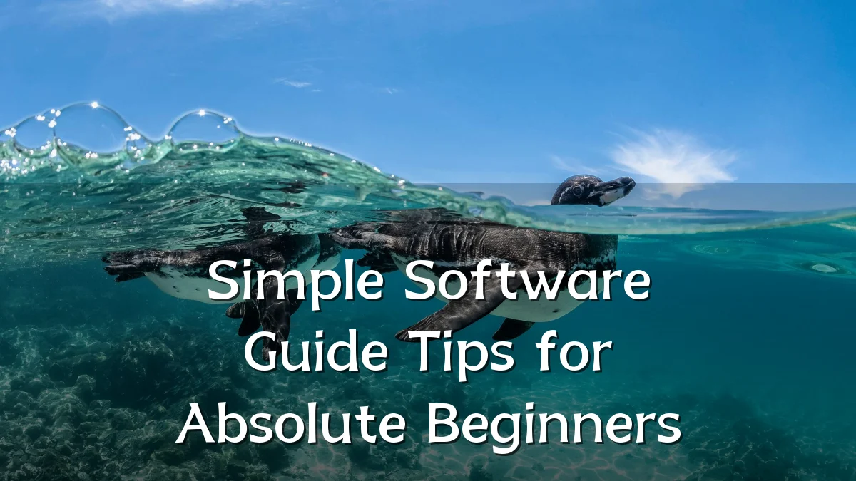 Simple Software Guide Tips for Absolute Beginners