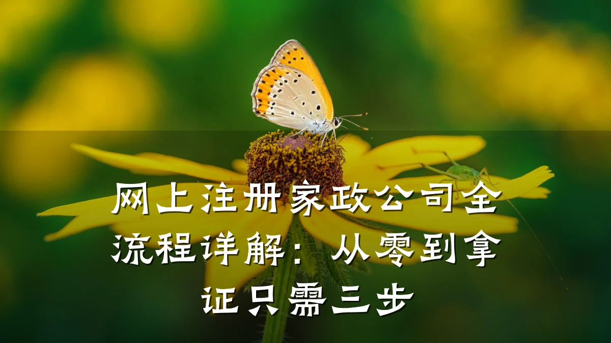 网上注册家政公司全流程详解:从零到拿证只需三步
