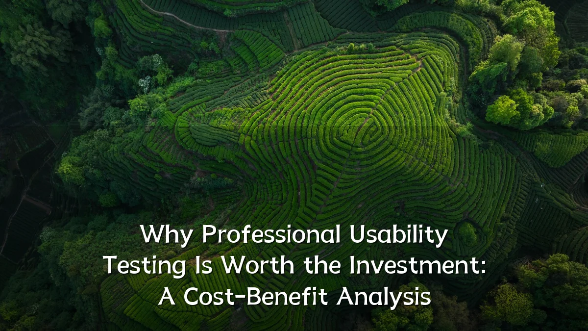 Why Professional Usability Testing Is Worth the Investment: A Cost-Benefit Analysis