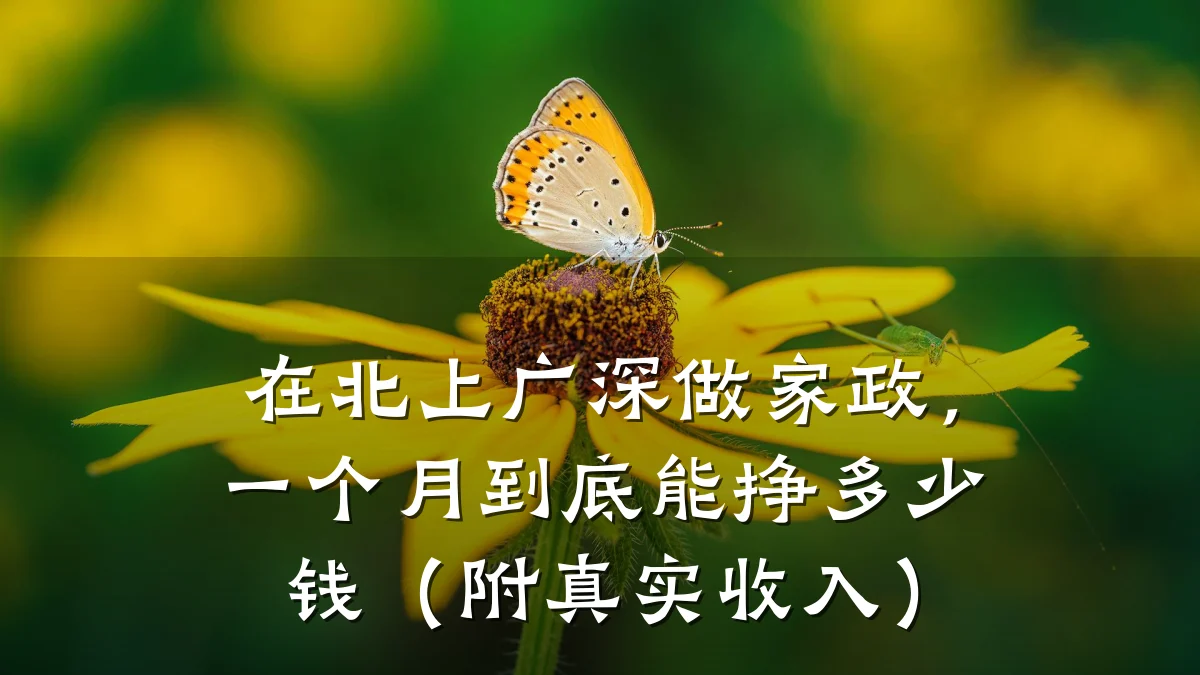 在北上广深做家政,一个月到底能挣多少钱(附真实收入)