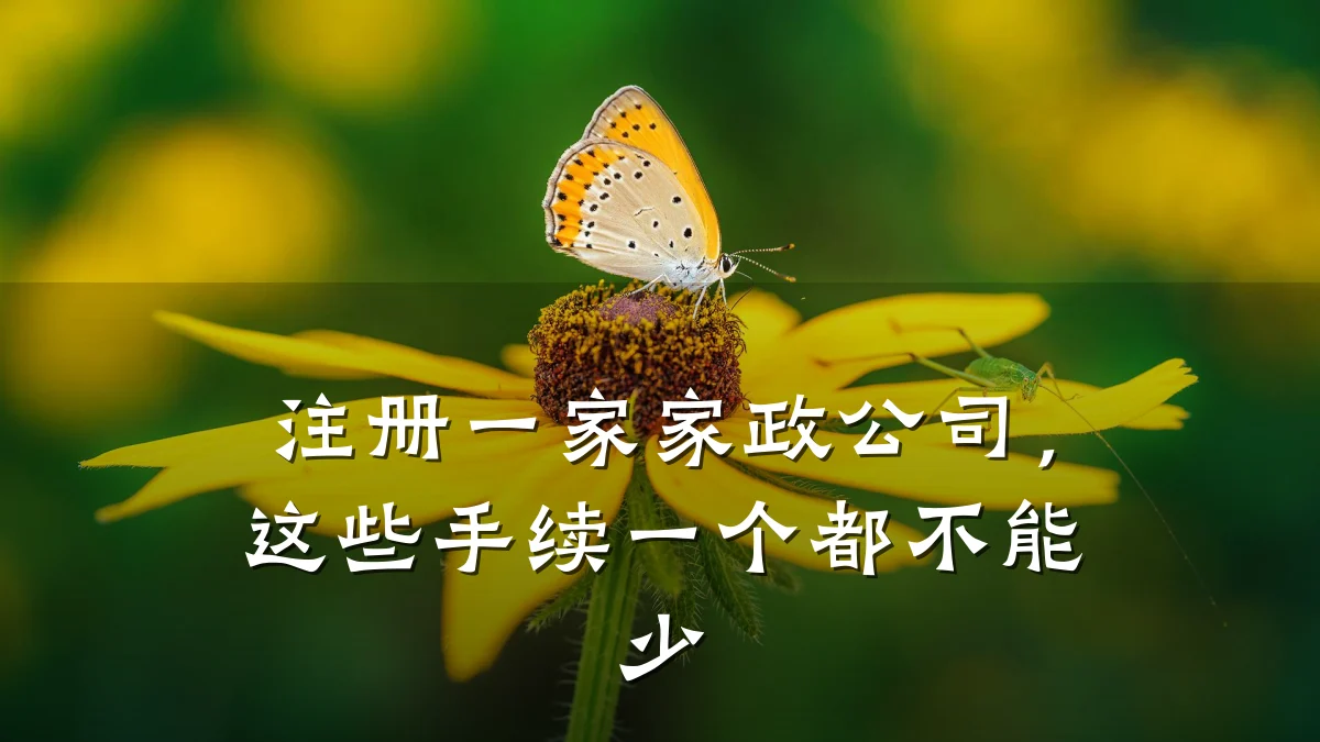 注册一家家政公司,这些手续一个都不能少