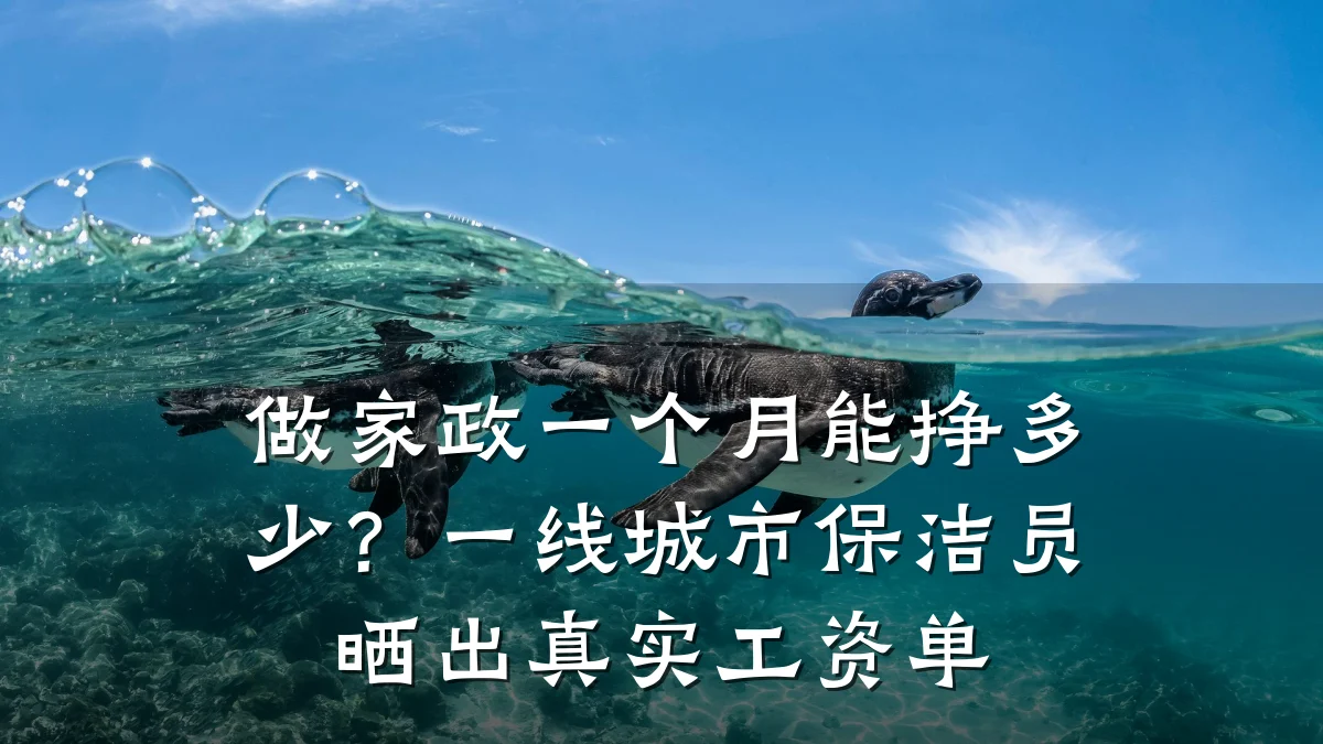 做家政一个月能挣多少?一线城市保洁员晒出真实工资单