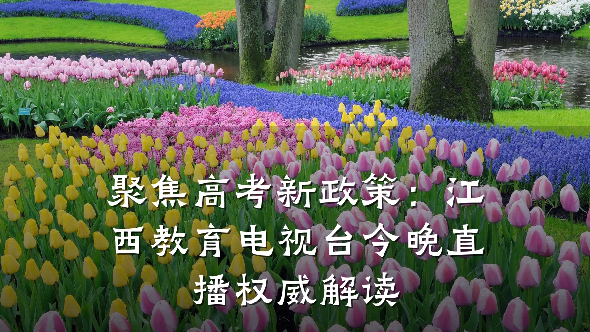 聚焦高考新政策:江西教育电视台今晚直播权威解读