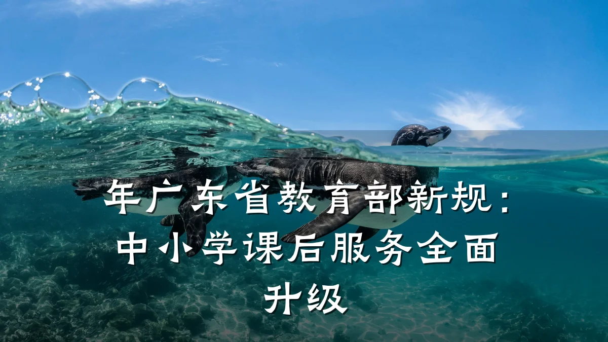年广东省教育部新规:中小学课后服务全面升级