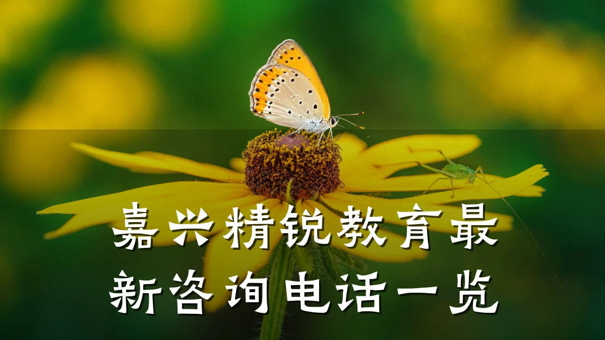 嘉兴精锐教育最新咨询电话一览