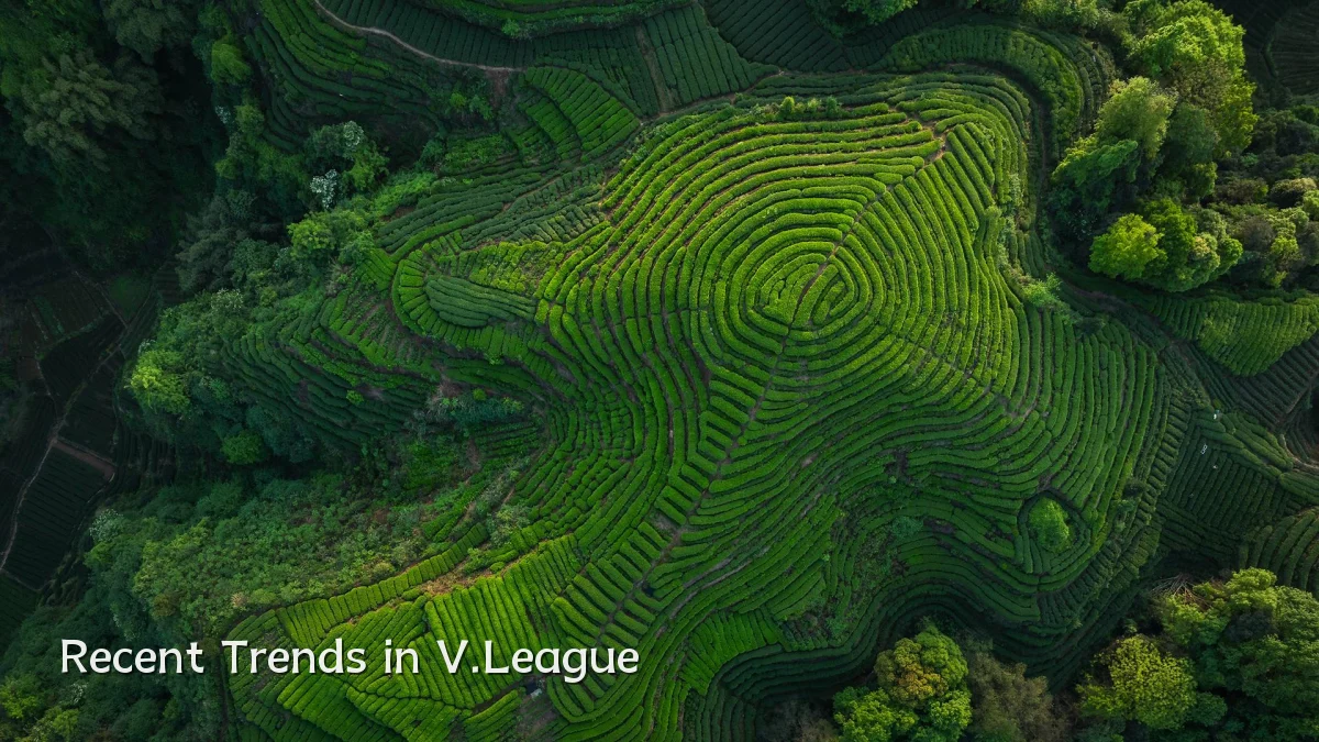 Recent Trends in V.League