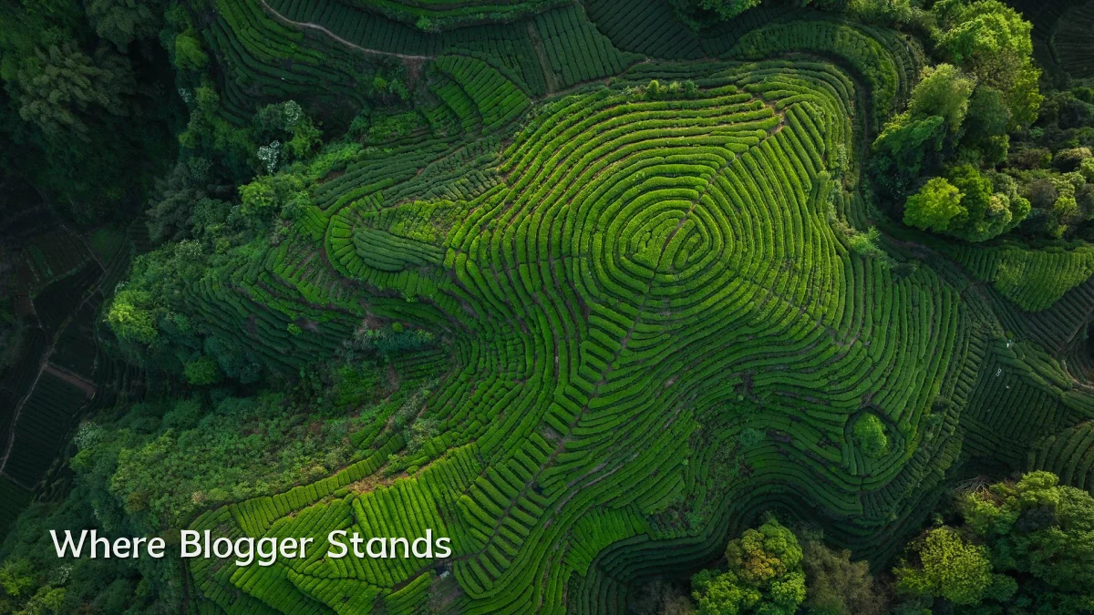 Where Blogger Stands