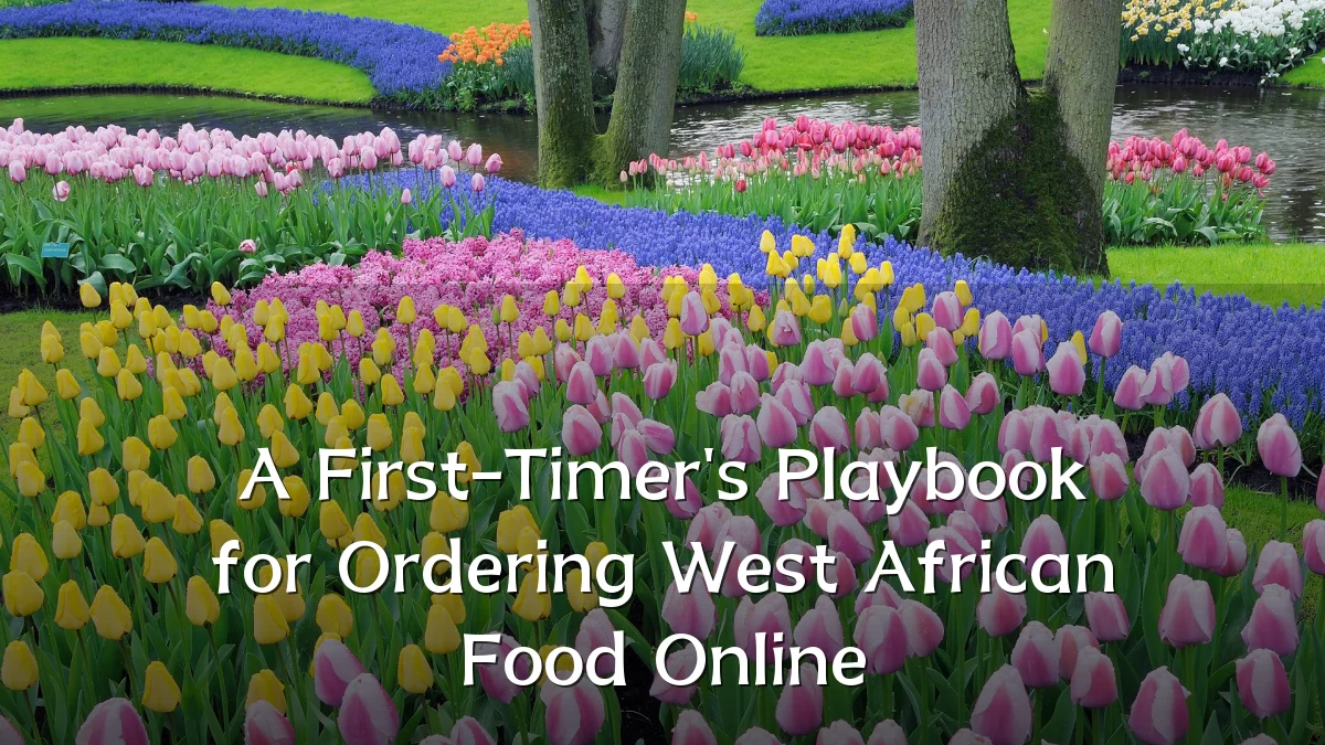 A First-Timer's Playbook for Ordering West African Food Online